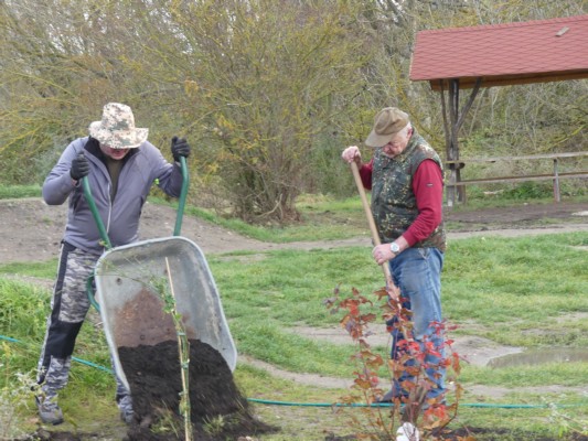 2021-11-13 Pflanzaktion -20.JPG