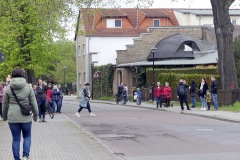 2023-04-29-Maibaum-045