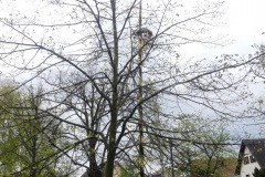 2023-04-29-Maibaum-061
